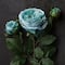Teal English Rose Stem by Ashland®